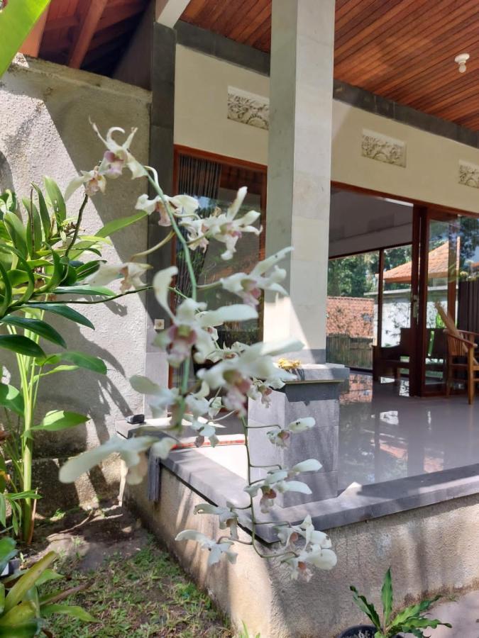 Pondok Kukuh Villa Sidemen Sidemen  Εξωτερικό φωτογραφία